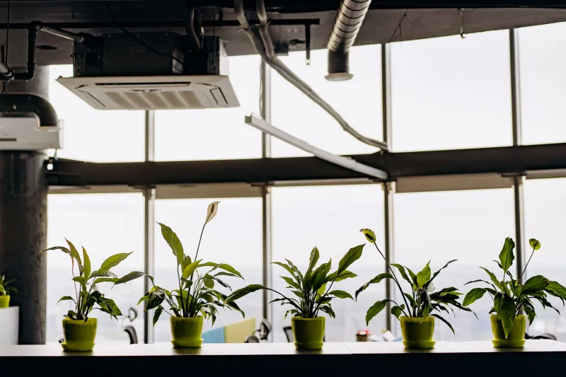 Your Home Is Making You Sick — The Indoor Air Crisis Nobody Warned You About
