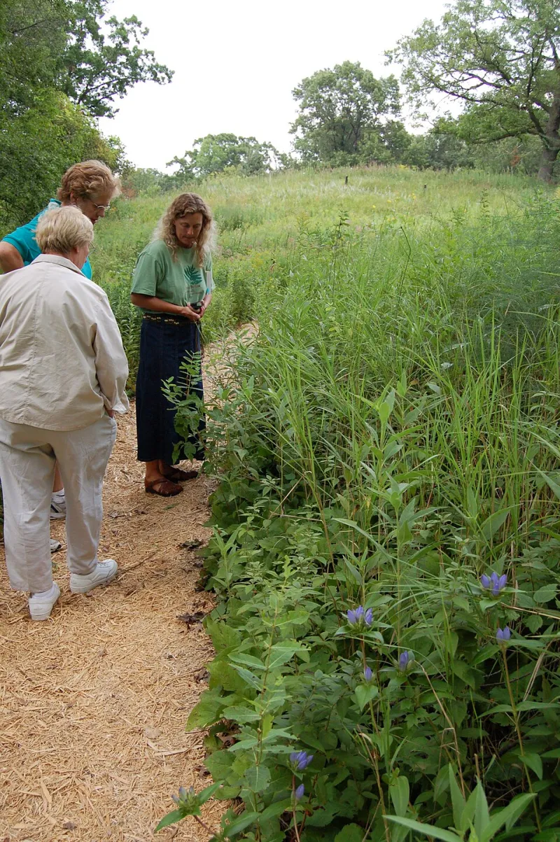 Ditch the Grass: How Turning Your Lawn Into a Native Plant Garden Becomes Your Most Powerful Climate Act