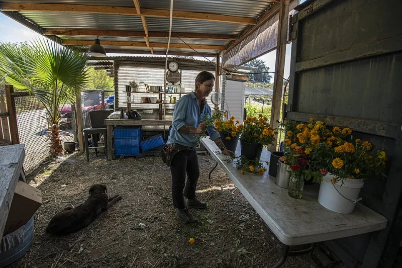 Healing the Soil Beneath Our Feet: The Farming Revolution That Could Save America's Food Future